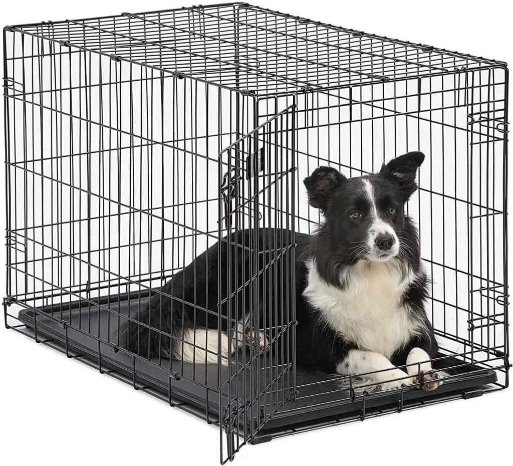 MidWest Homes for Pets Dog Crate _ iCrate Single Door & Double Door Folding Metal Dog Crates _ Fully Equipped