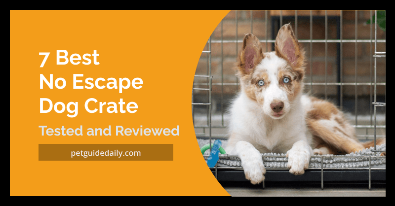 7 Best No Escape Dog Crate: Tested and Reviewed - Pet Guide Daily