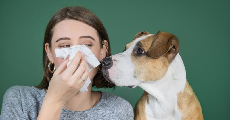dog owner cover nose to avoid bad smell of dog